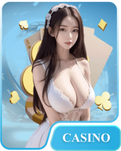 casino fly88